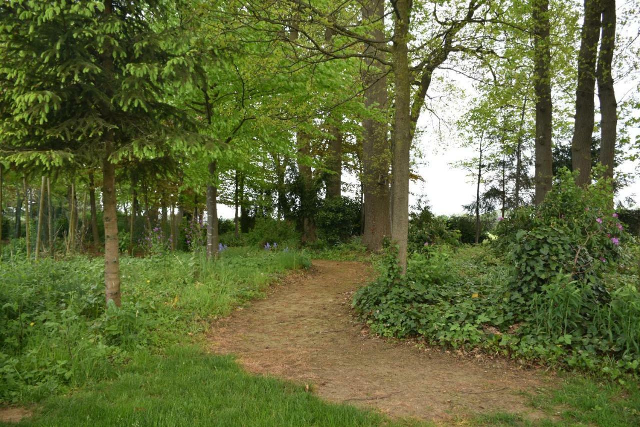 Apartment Beeldend Buiten
