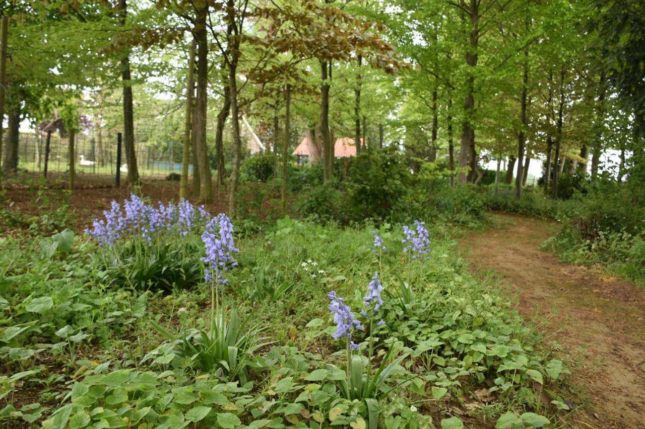 Beeldend Buiten Apartment Wichmond