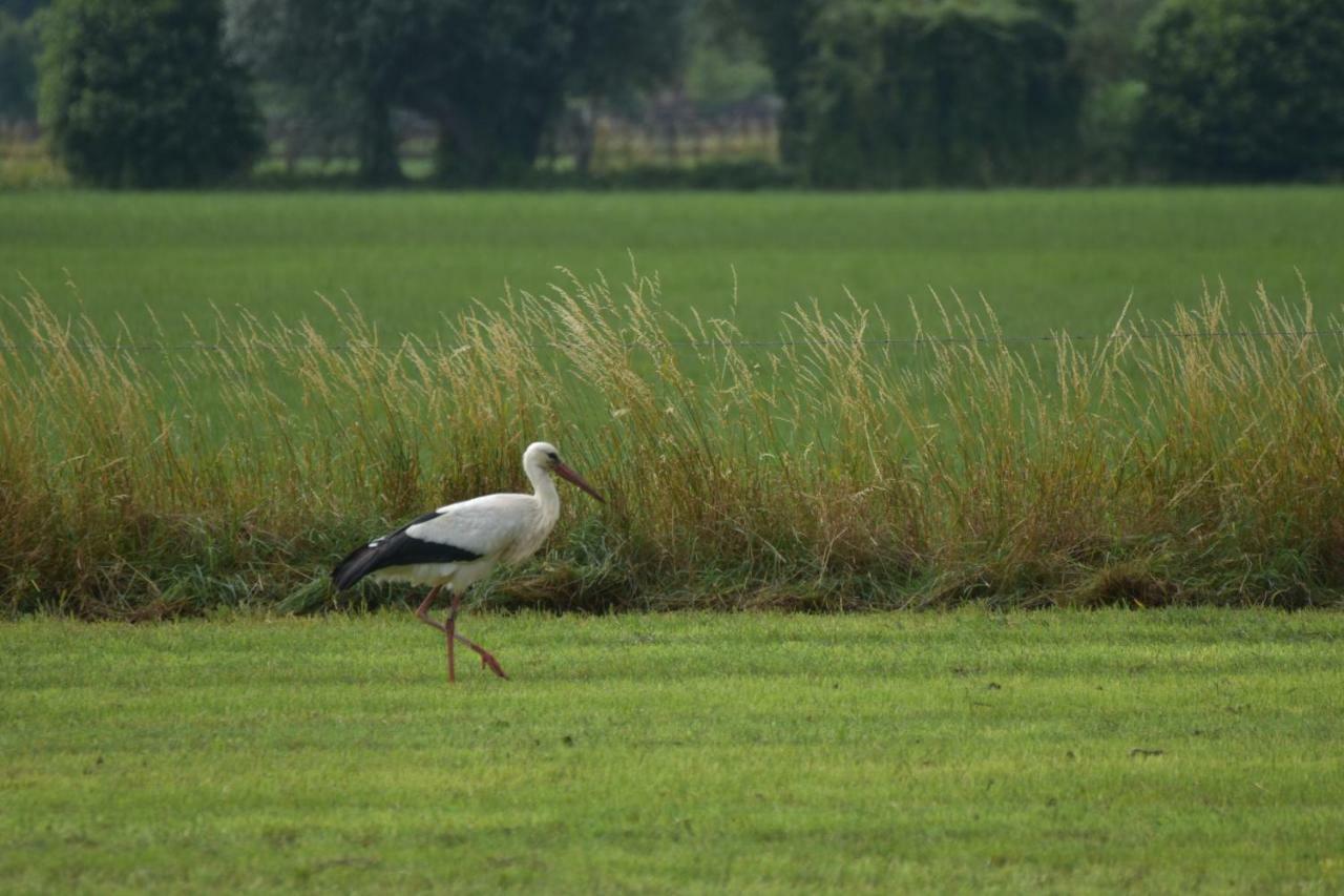 Beeldend Buiten