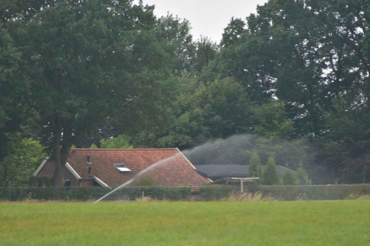 Beeldend Buiten *